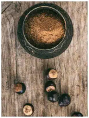 Guarana Bio en Poudre et graines pour énergie et concentration