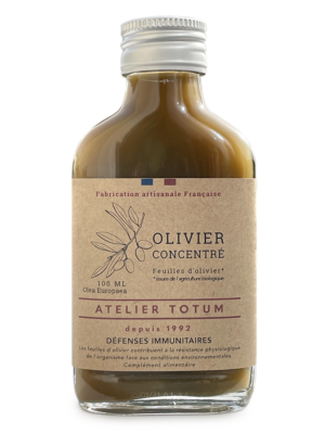 Concentré Olivier Bio, Feuilles d'Olivier en Décoction