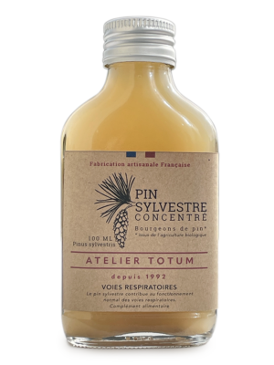 Concentré Pin Sylvestre Bio – Bourgeons de Pin en Décoction